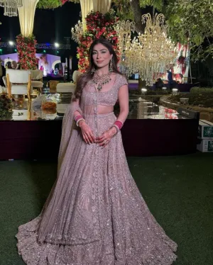 Biege Premium Net Embroidered Lehenga Choli
