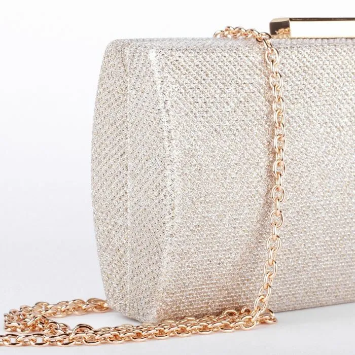 Dionne - Champagne Glitter Box Clutch Bag
