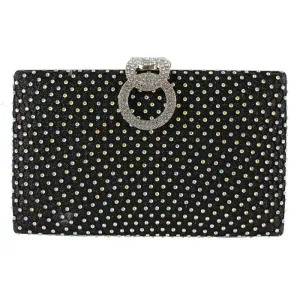 Evening Clutch