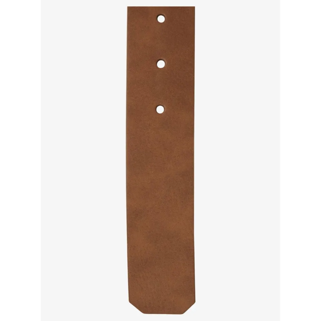Main Street Belt