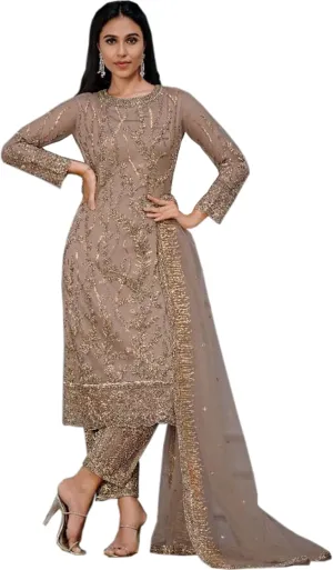 Pakistani Women's Readymade Indian Salwar Kameez Trouser Pant Dupatta Dresses (US, Numeric, 46, Regular, Regular, Choice 2)