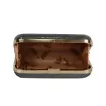 Shimmer Box Clutch With Chain Strap